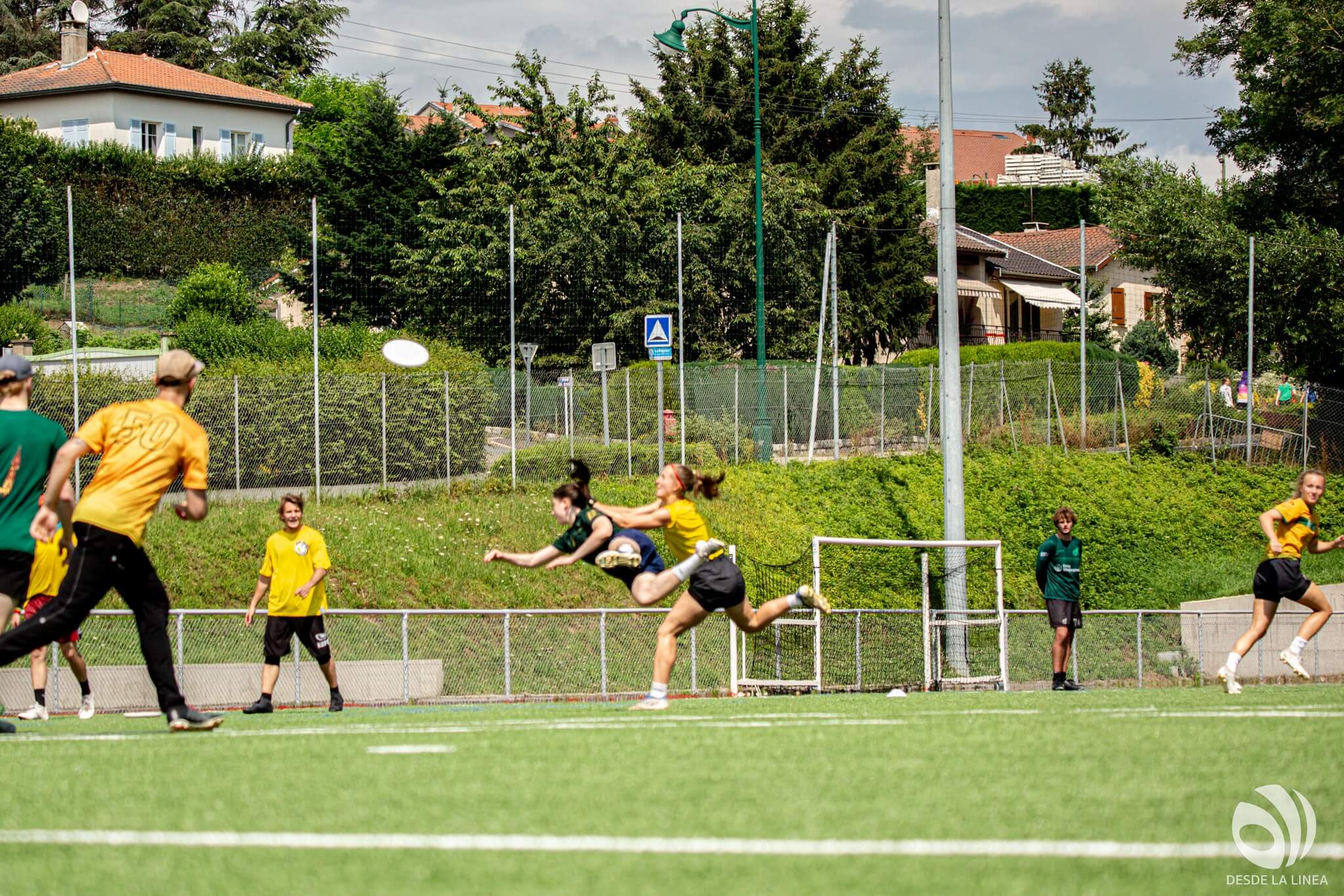 Layout W Green vs Yellow