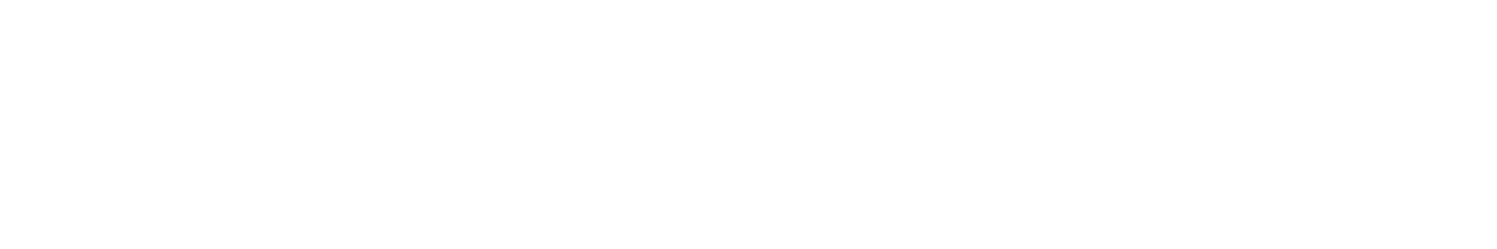 Firsbee NRW website